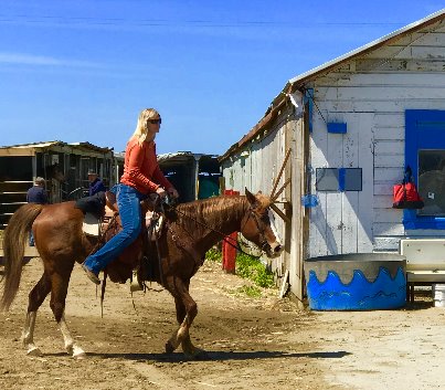 Best Places To Go Horseback Riding In the Bay Area tours
